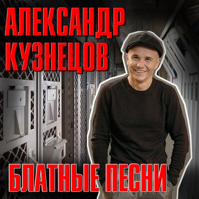 Скачать песню Александр Кузнецов - Сизари